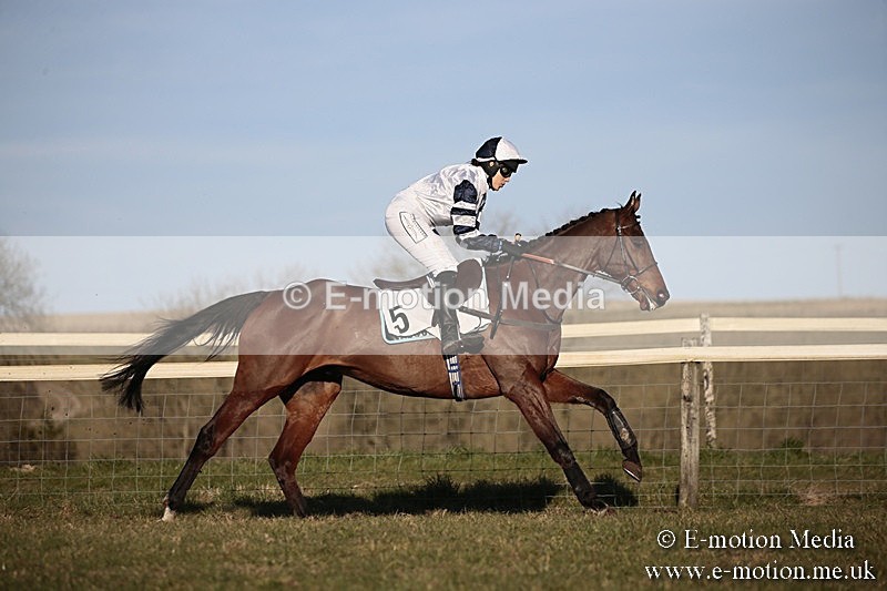 PtP 240218 663 - Vine & Craven Hunt Point-to-Point Barbury racecourse 24/02/18
