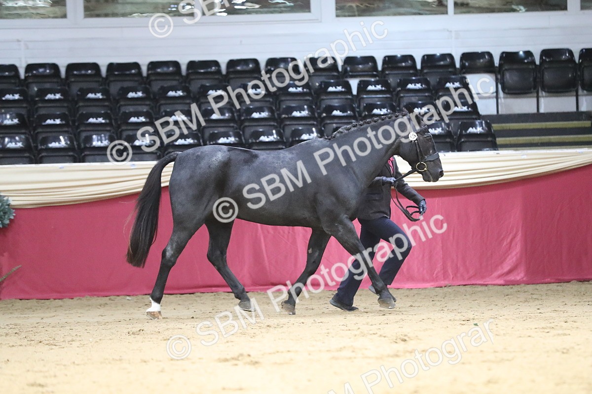 SBM_04357 - Class 7R Regional - IH Diamond