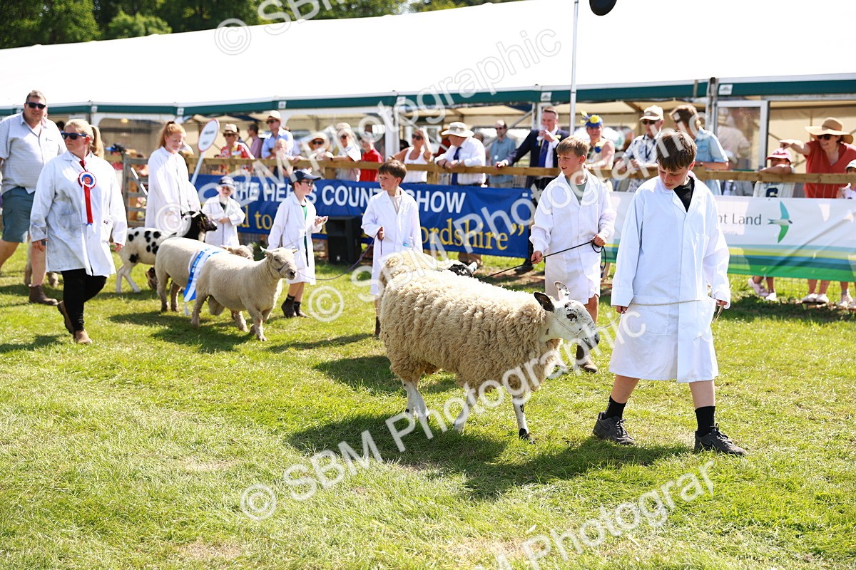 SBM_08388 - Grand Parade