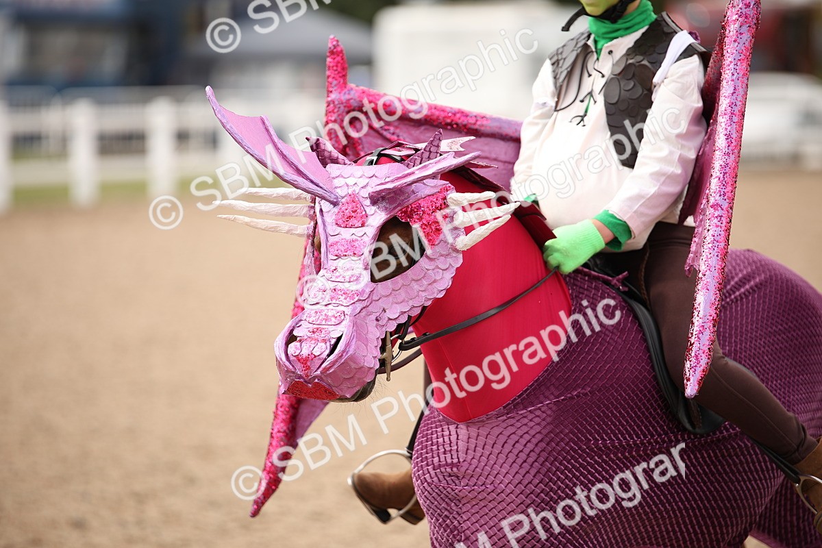 SBM_04706 - Class 21 Fancy Dress (IH or Ridden)
