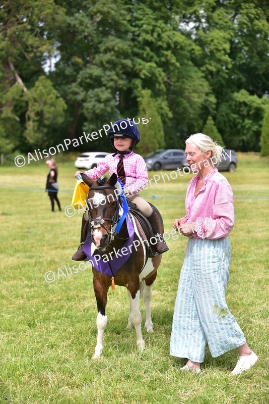 20260614-4024 - Class 16 - Handsome Gelding