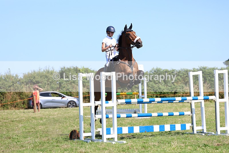 3E7A6468 - Class 13: Senior Newcomers/1.10m open