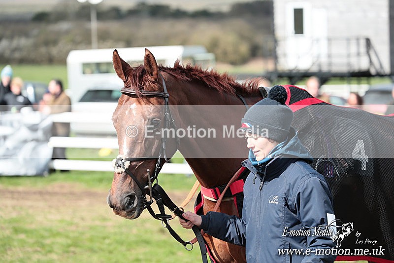 PtP 230324 322 - Tedworth Hunt PtP Larkhill Raccourse 23rd March 2024