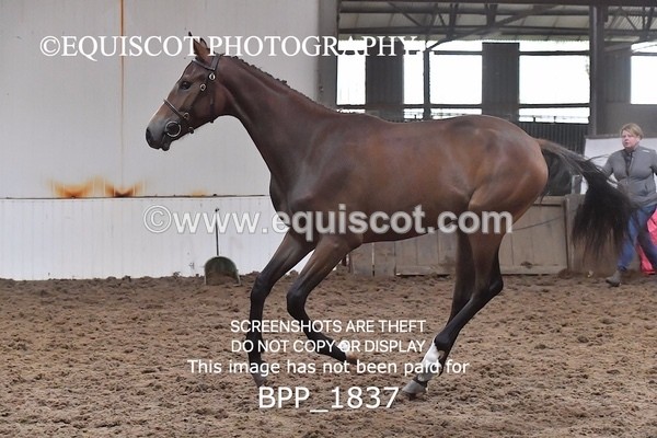 BPP_1837 - MORNING 9AM - 12PM