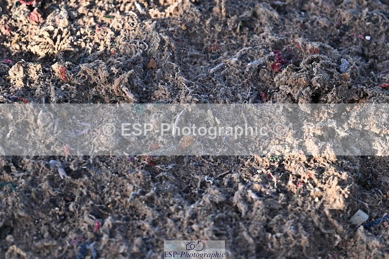 251203-125346-00581 - Cls 4 Newcomers and 1.10m Open