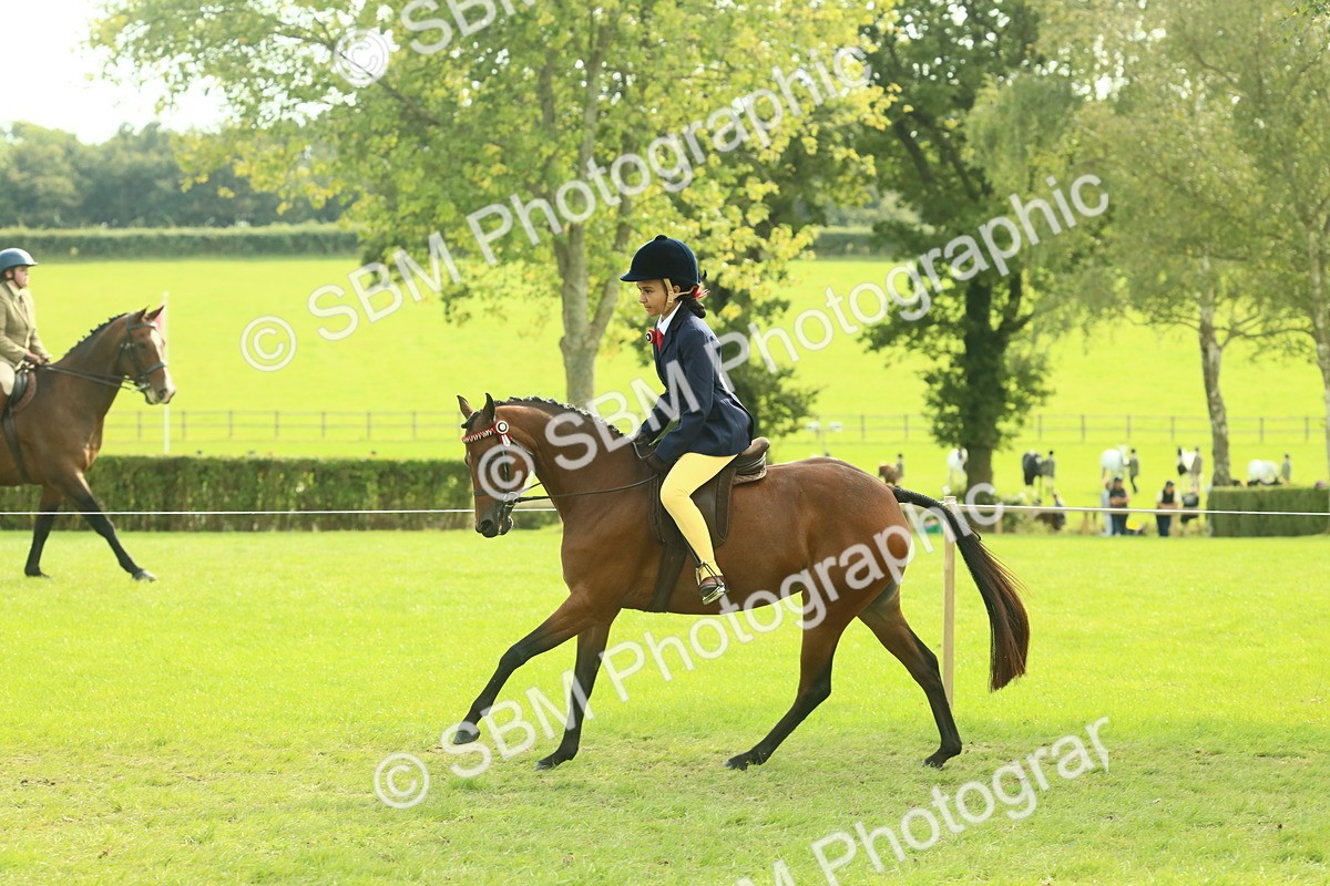 SBM_68093 - S57 - Part Bred Pony Ridden