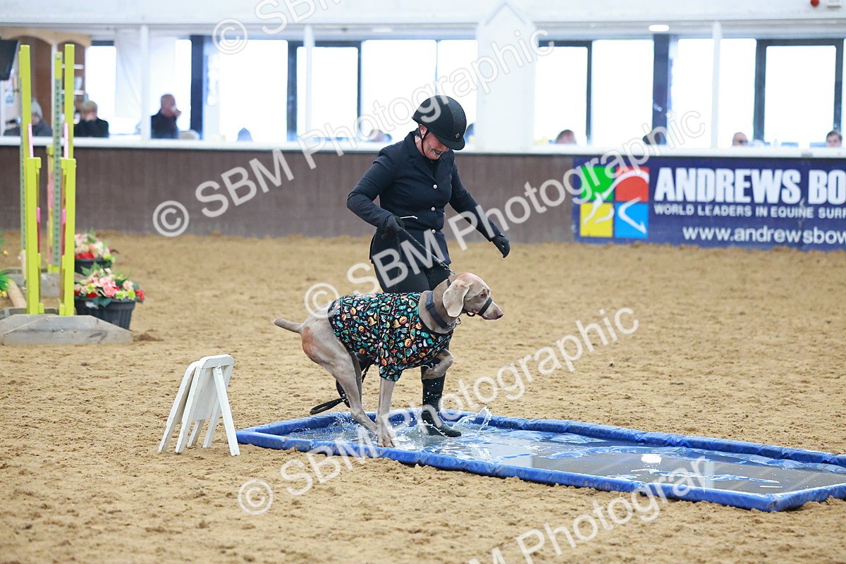 SBM_001754 - Class 3 - Horse & Hound (60cm)