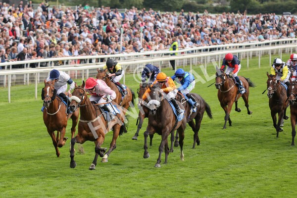 yr18082021r5-48 - Race 5 4.10pm Sky Bet Stakes