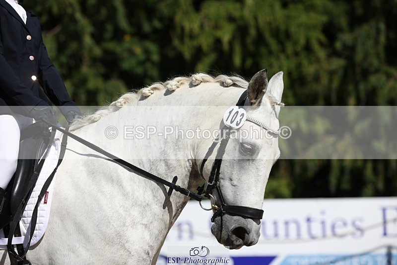 230811-155802-02564 - Cls 1 Prelim Bronze 15.00 to End