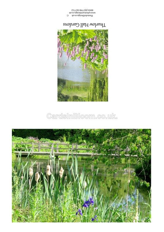 015 Thurlow Hall Gardens - Lake and Irises - GARDENS