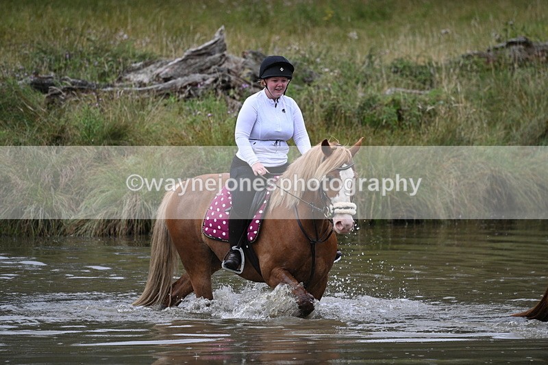 WJ7_5685 - Time at Water 14:54 to 15:14