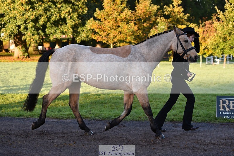 231022-084738-21362 - 661-MYSHALL.ROBBY-Poppy.Turriff-TrotUp+SJ