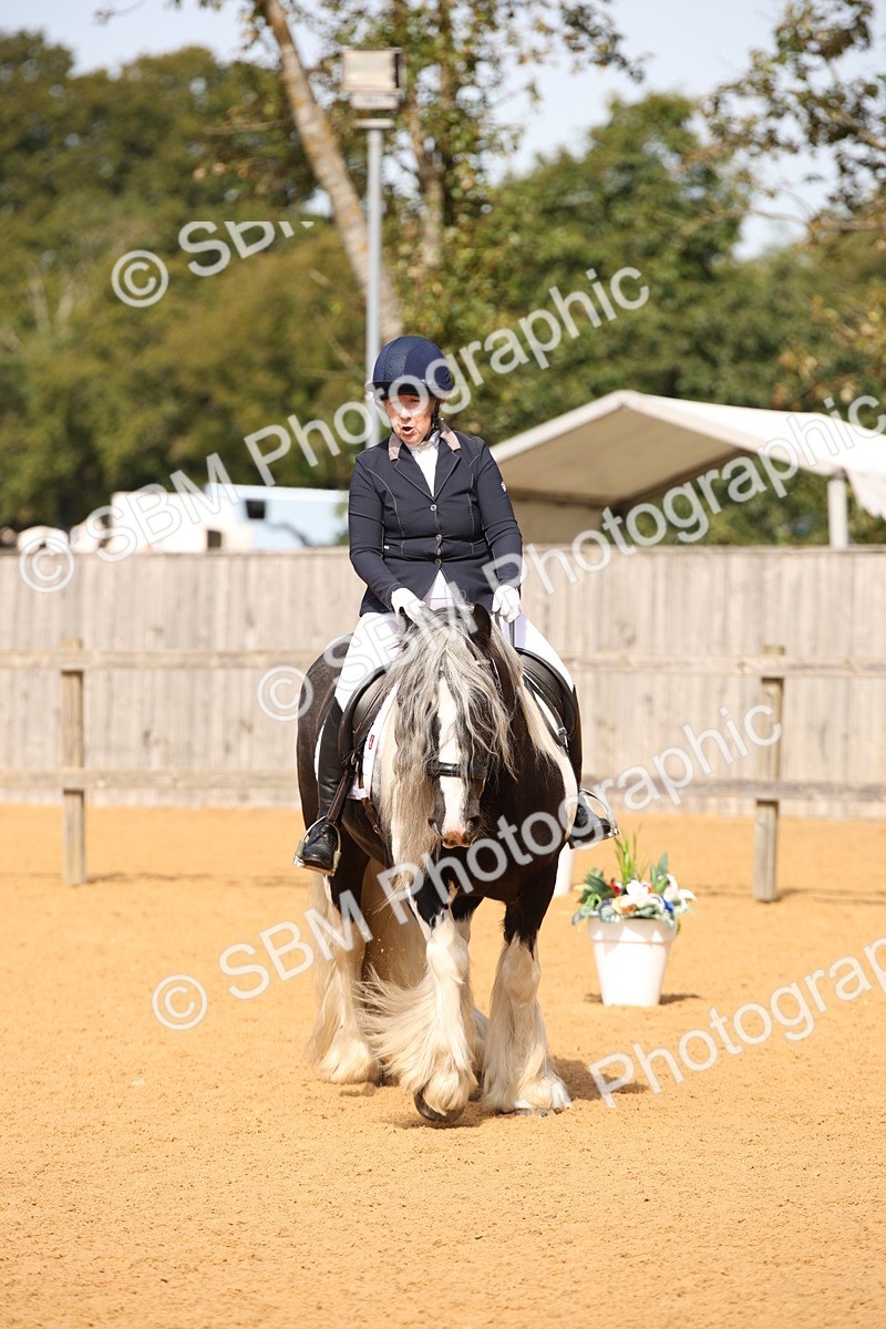 SBM_21763 - D5 - Small Tour Championship - Intro C