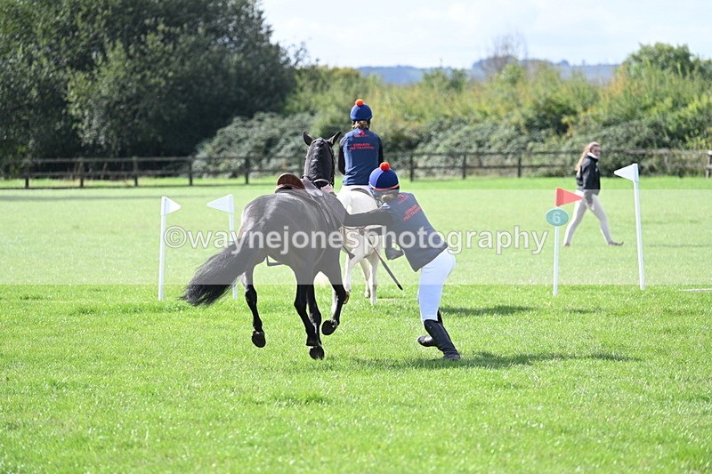 WJ7_8524 - 60cm Pairs