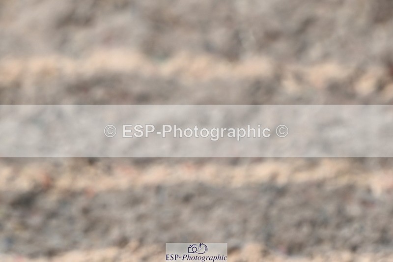 240801A-104145-00334 - Cls 8 85cm Amateur Qualifier