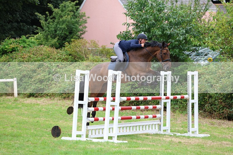 3E7A8442 - Class 8: Senior Foxhunter/1.20m open