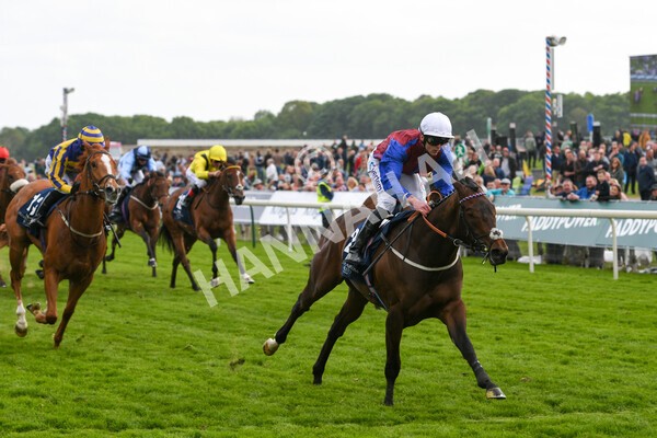 yr13052022r7-35 - Race 7 5.15pm Longines Irish Champions Weekend Stakes