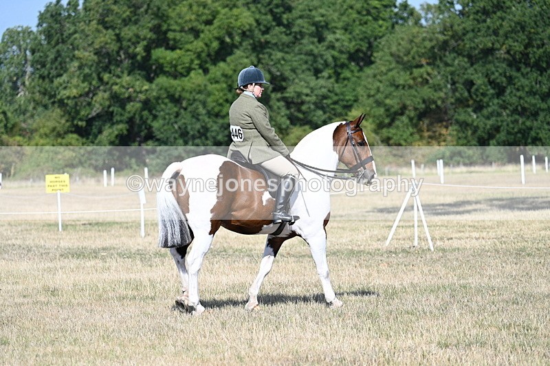 WJ7_2769 - Class 8 Ridden Tack & Turnout