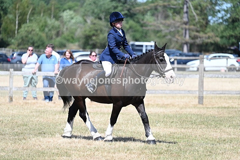 WJ7_3710 - Class 8 Ridden Veterans