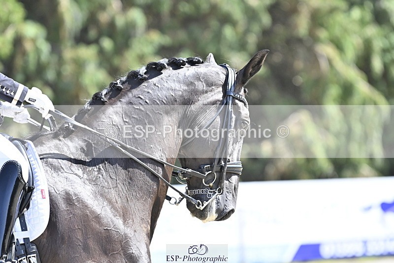 250810A-144028-07746 - 027-Elaine.ScottFlorava