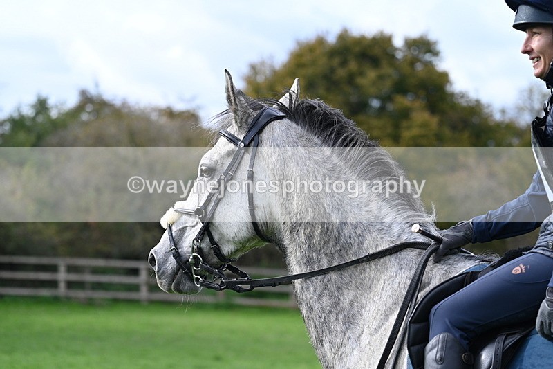 WJ7_0694 - Time 14:27 to 15:11