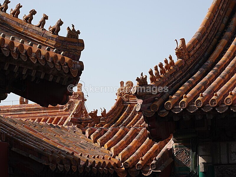 CHINA__1143 - China 2019