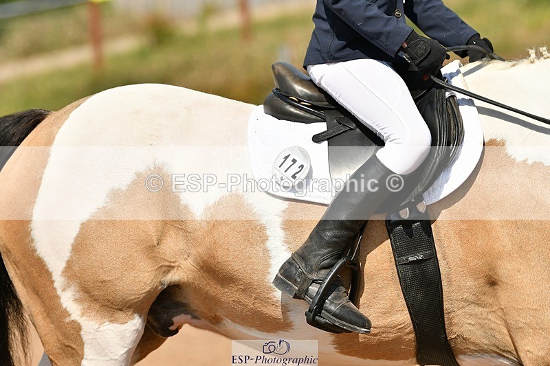 250817-144733-10289 - 172-Lilly.PapworthCammach.Wheres.Whally