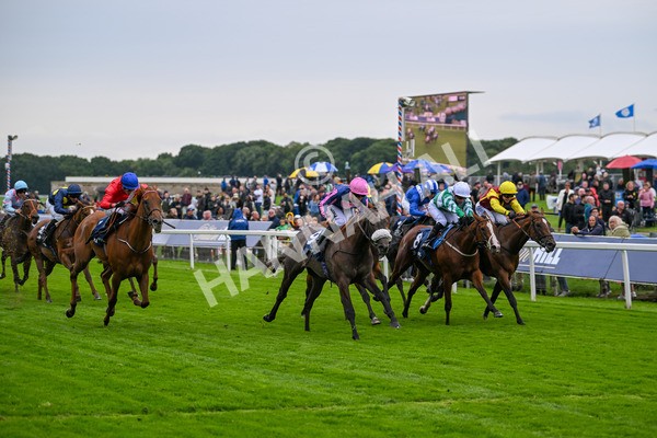 120724-Race 2-Flora Of Bermuda-5821 - Race 2 2.40pm William Hill Summer Stakes