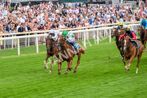 250725-Race 5-Sand Gazelle-0710 - Race 5 7.48pm British EBF Lyric Fillies' Stakes