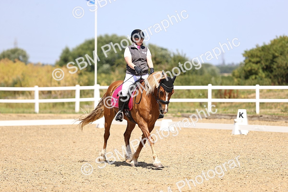 SBM_010416 - Novice 5 - 11.20-12.23