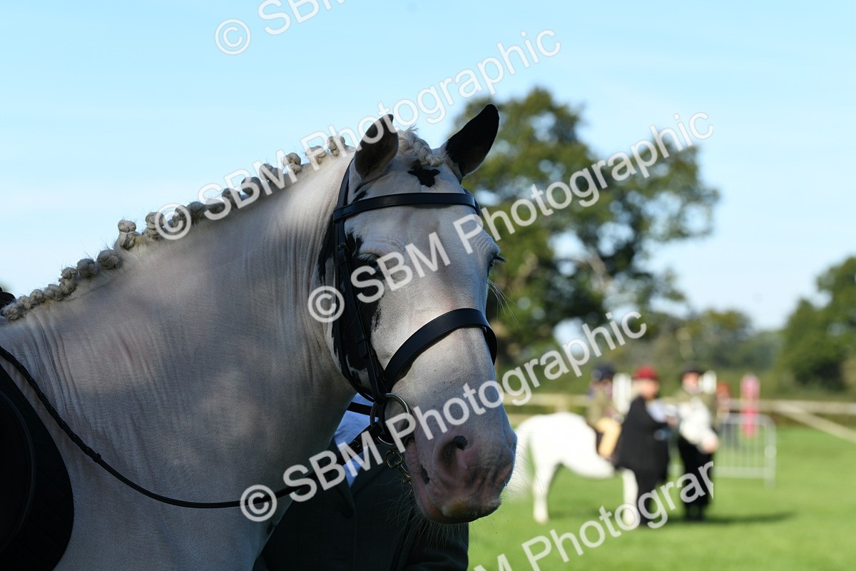 SBM_35435 - S17 - Condition & Turnout - Lead Rein