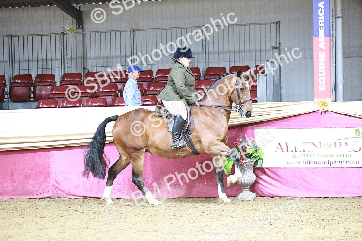 SBM_08020 - Class 11R - Regional Ridden Veteran