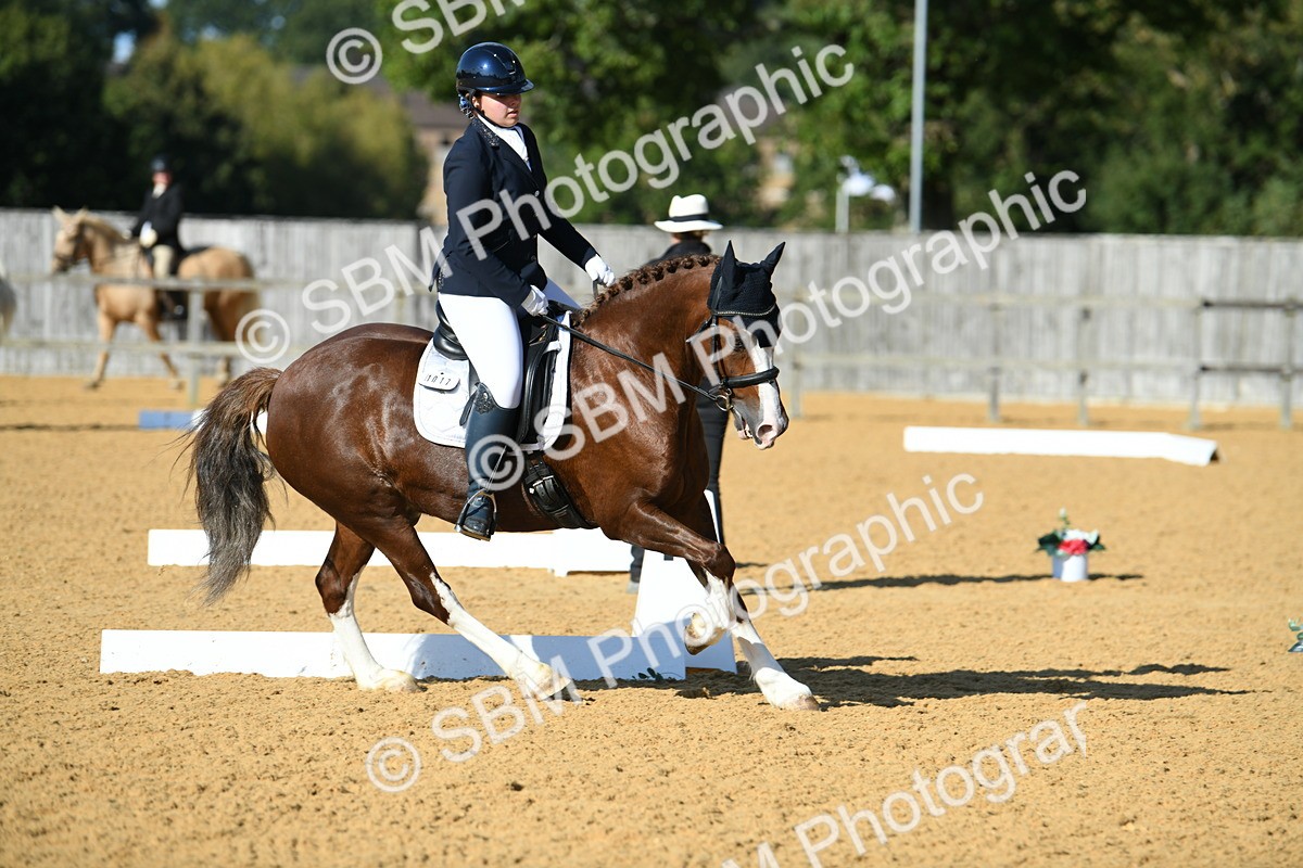 SBM_27230 - D16 - Small Tour Championship - Novice 28
