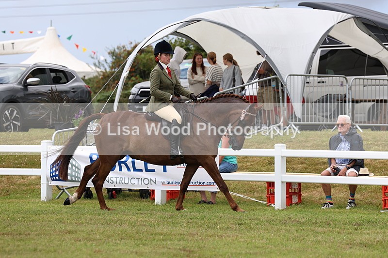 3E7A0897 - Class 8: Open Riding Horse/Hack