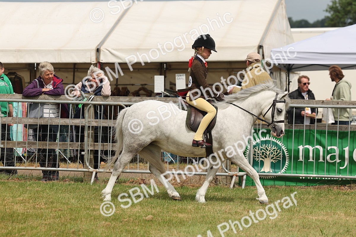 SBM_06861 - Class 74-75 - M&M Lead Rein and First Ridden Pony