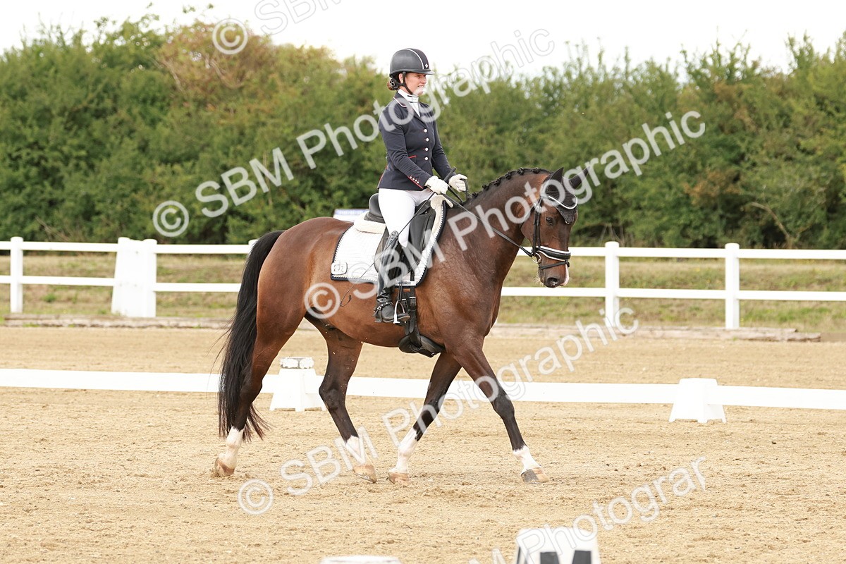 SBM_001908 - Class 8 - Elementary 6