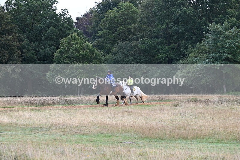 DSC_2236 - Time at Statue 12:34 to 12:56