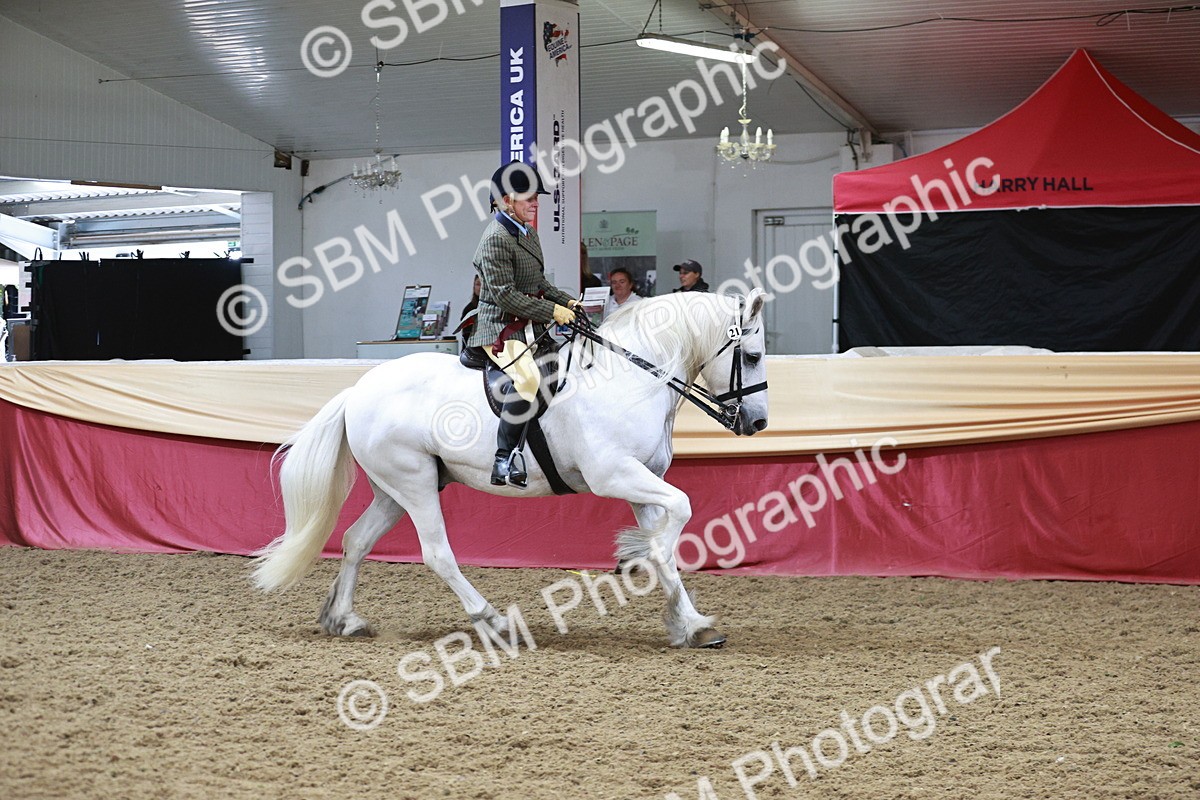 SBM_08720 - Regional Ridden Champ
