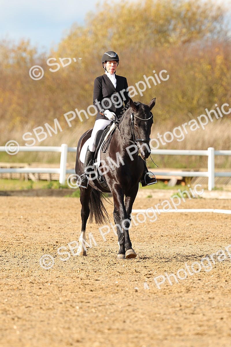 SBM_001399 - Medium 3