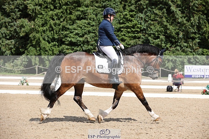 240721-151615-09666 - 300-Alison_Crimp-Crwys_Beau