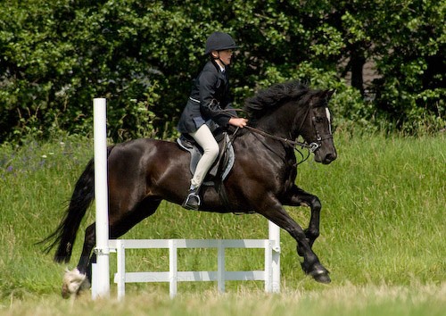 75 - Moniaive Horse Show 2008