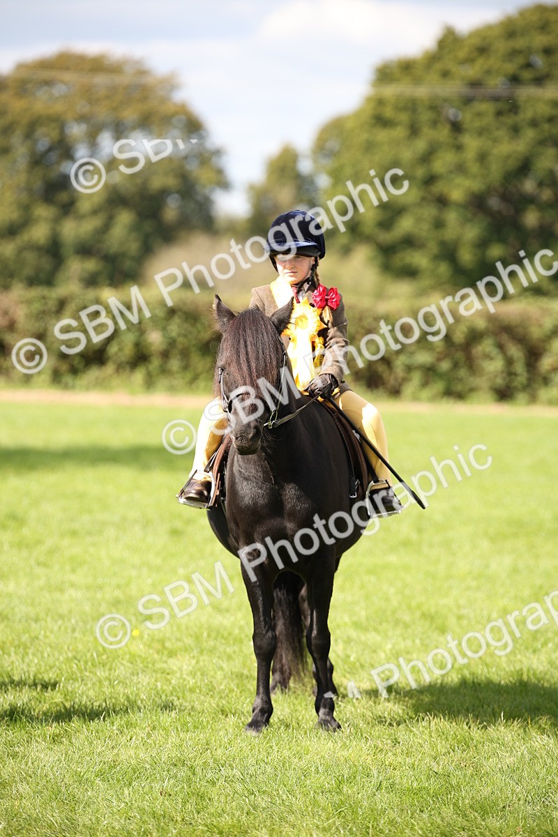 SBM_40912 - Fun Showing Supreme Championship