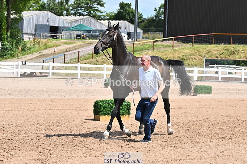 240718A-105258-01396 - Trot Up 12pm to 1pm