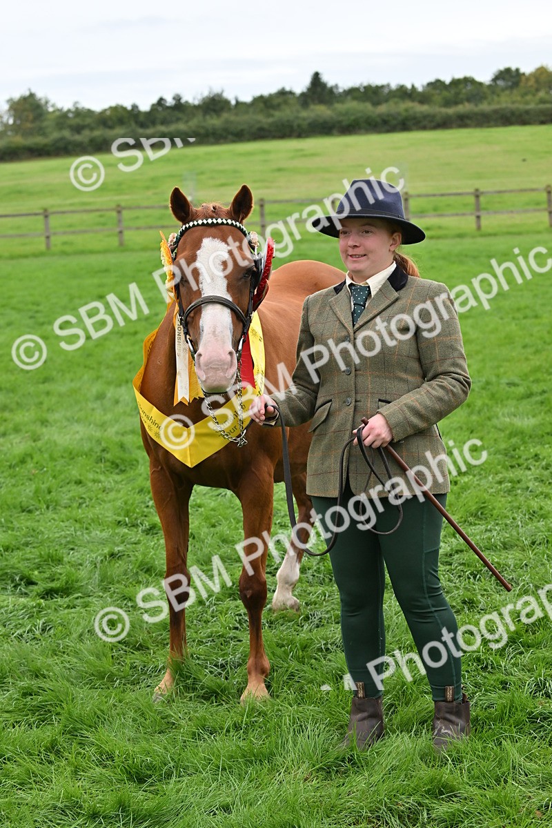 SBM_65051 - In Hand Pony & Younstock Supreme Championship