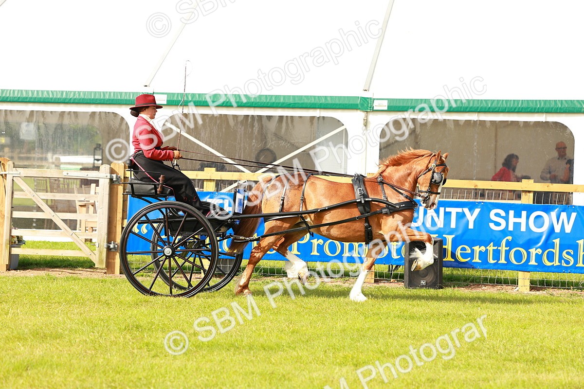 SBM_00265 - Class 1 - Private Driving