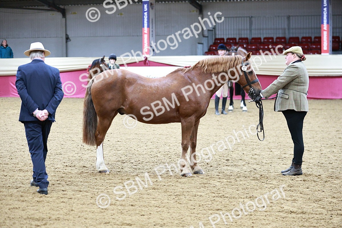 SBM_00304 - Class 1A - Area IH Diamond