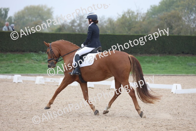 20251012-0555 - Class 4 - Novice 6