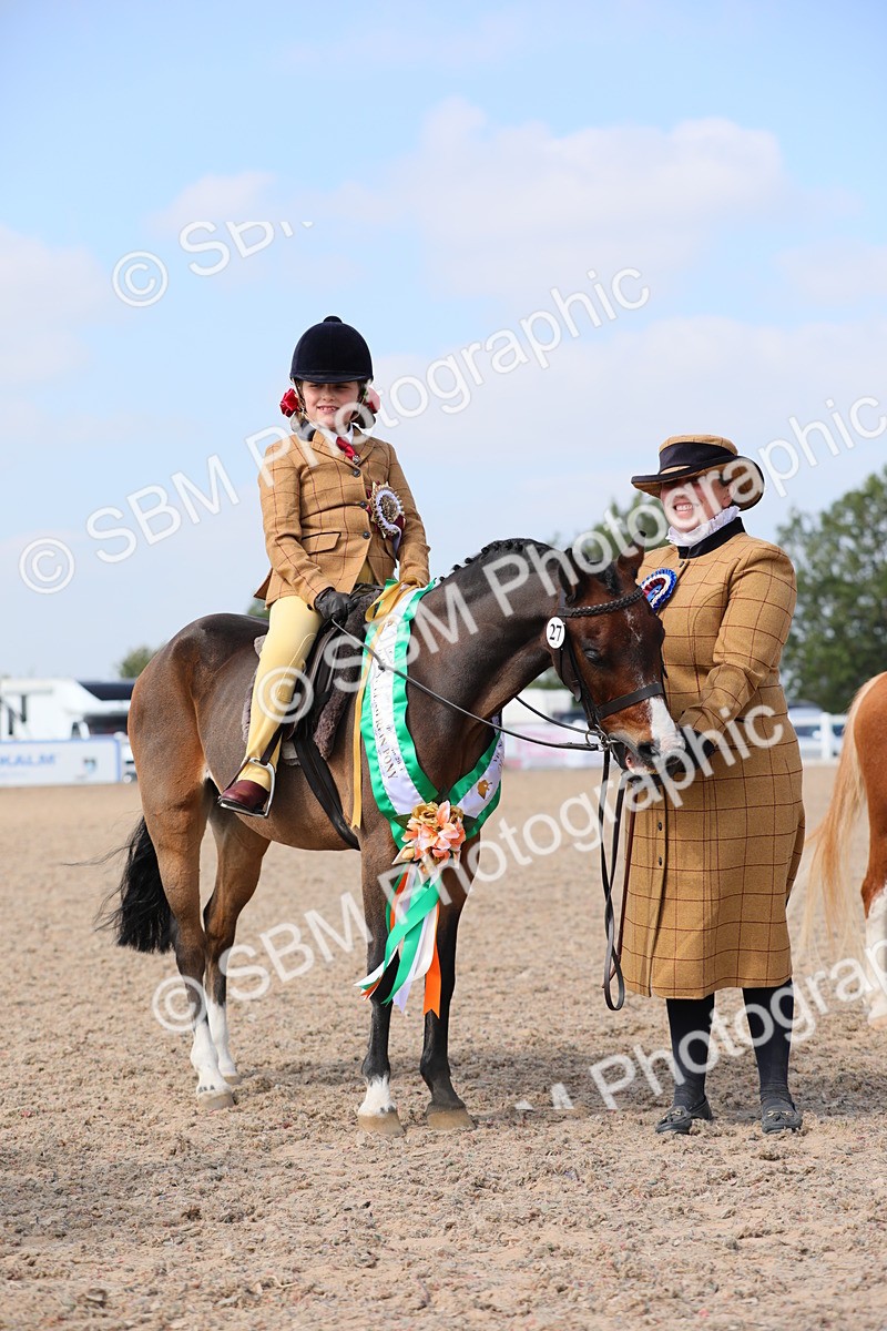 SBM_14104 - Class 309 Lead Rein Pony