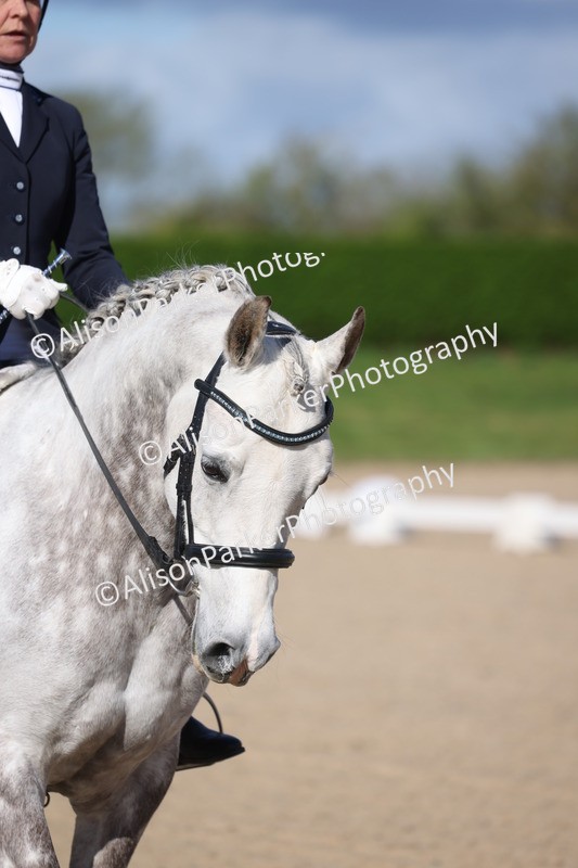 20260405-0079 - Class 1 - Prelim 5