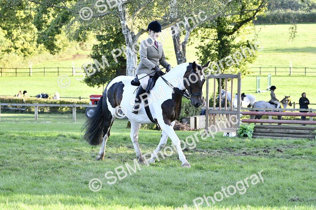SBM_53556 - S14 - Riding Club Horse